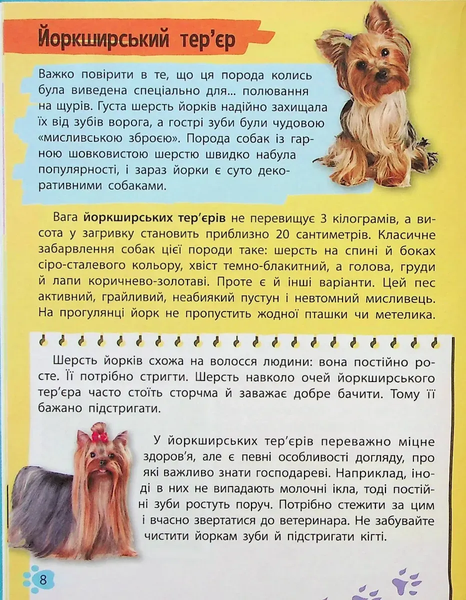 Хатні Улюбленці 14706 фото