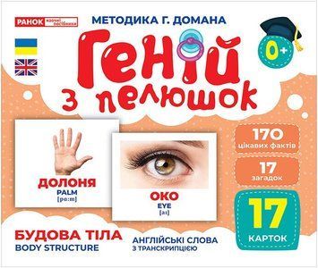 Геній з пелюшок.Будова тіла 15398 фото
