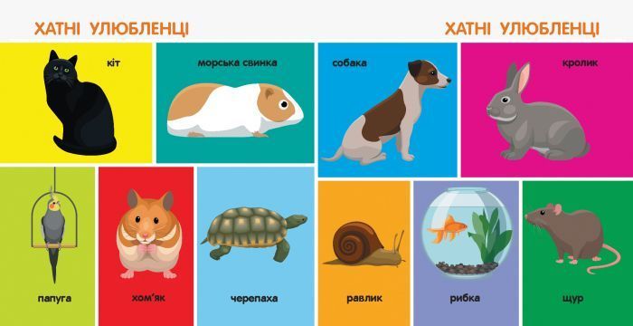 100 тварин 12868 фото